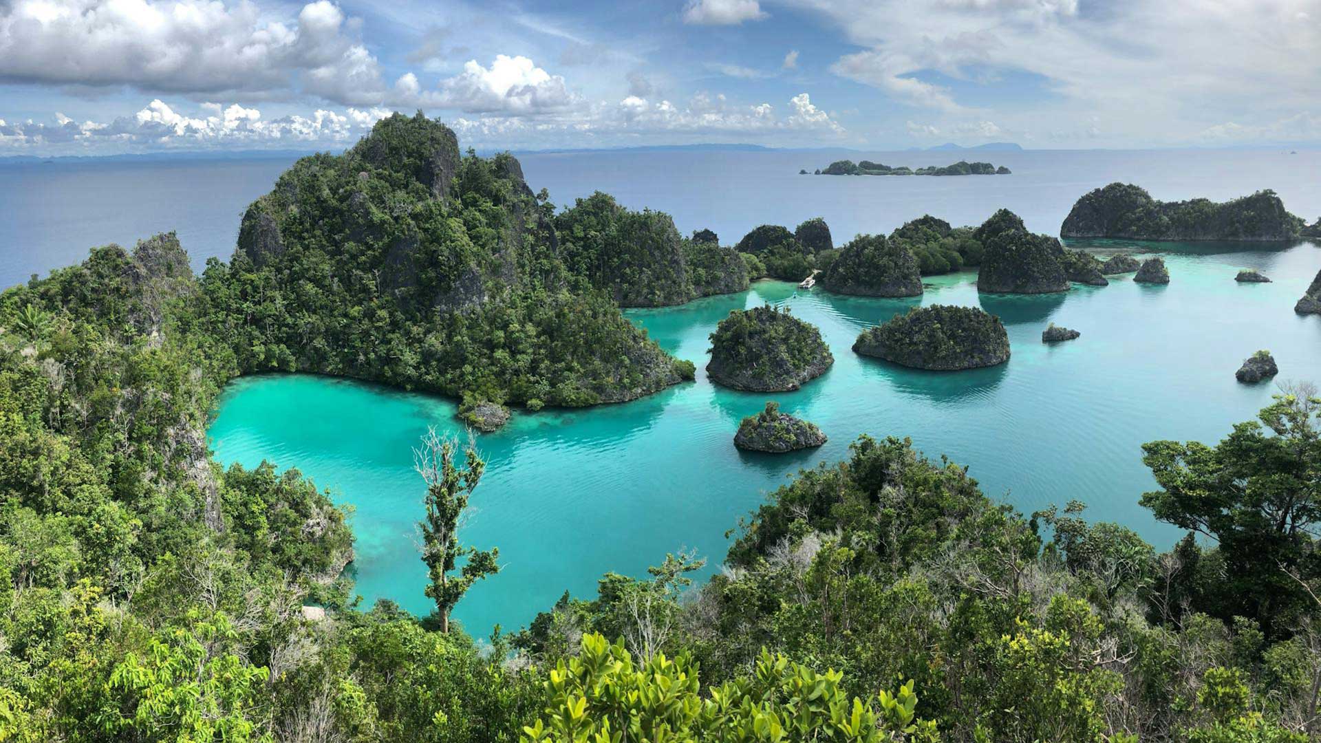 Diving Raja Ampat, West Papua Diving Raja Ampat, West Papua