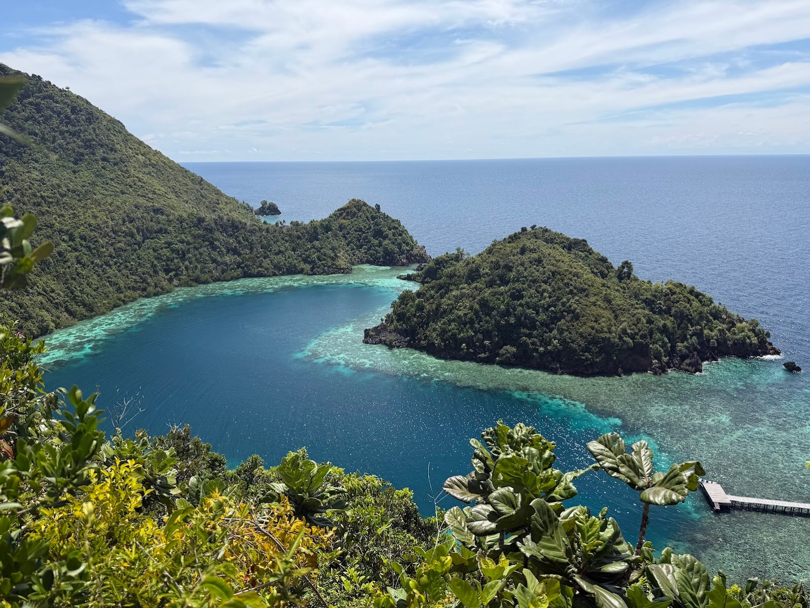 Diving Raja Ampat, West Papua