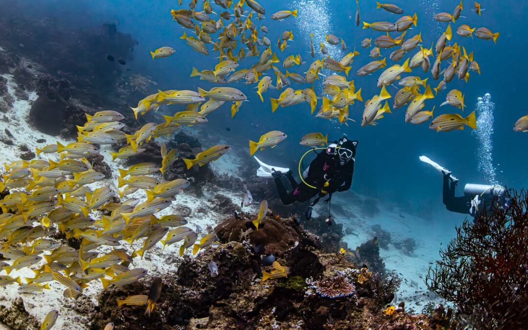 Raja Ampat – Halmahera – Ternate 11D10N
