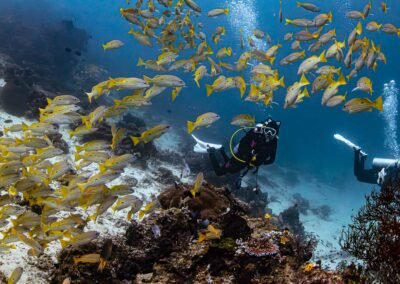 Raja Ampat – Halmahera – Ternate 11D10N