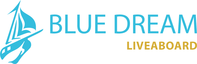 bluedreamphinisi.com